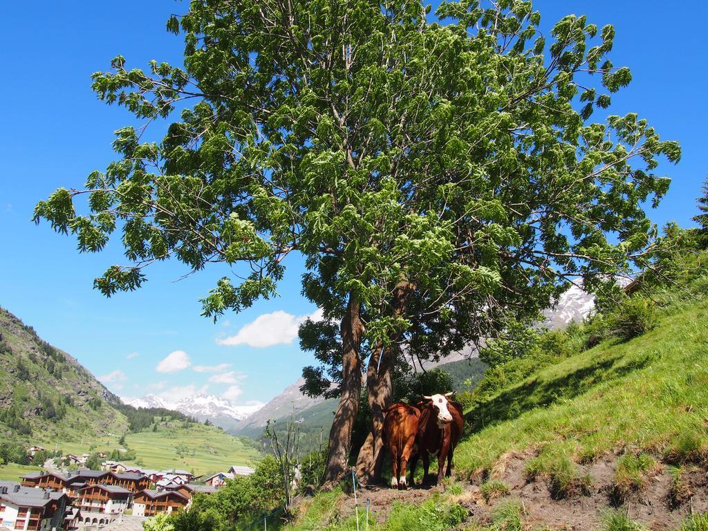 Locations Berne Milesi Leilighet Lanslevillard Eksteriør bilde